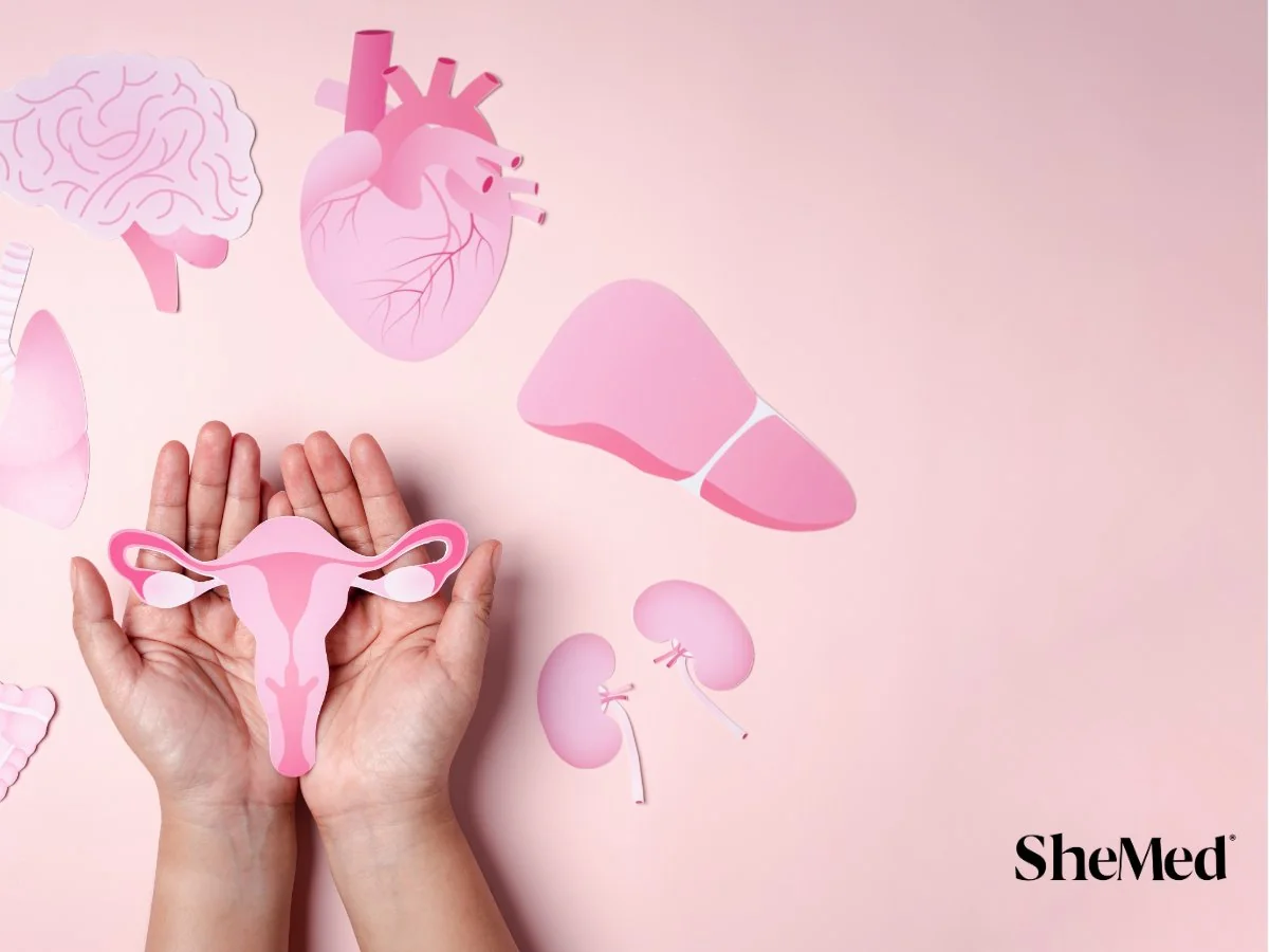 Paper cut-out of a uterus held in cupped hands, surrounded by paper models of a brain, heart, liver and kidneys on a pink background, illustrating PCOS as a whole-body hormonal and metabolic condition