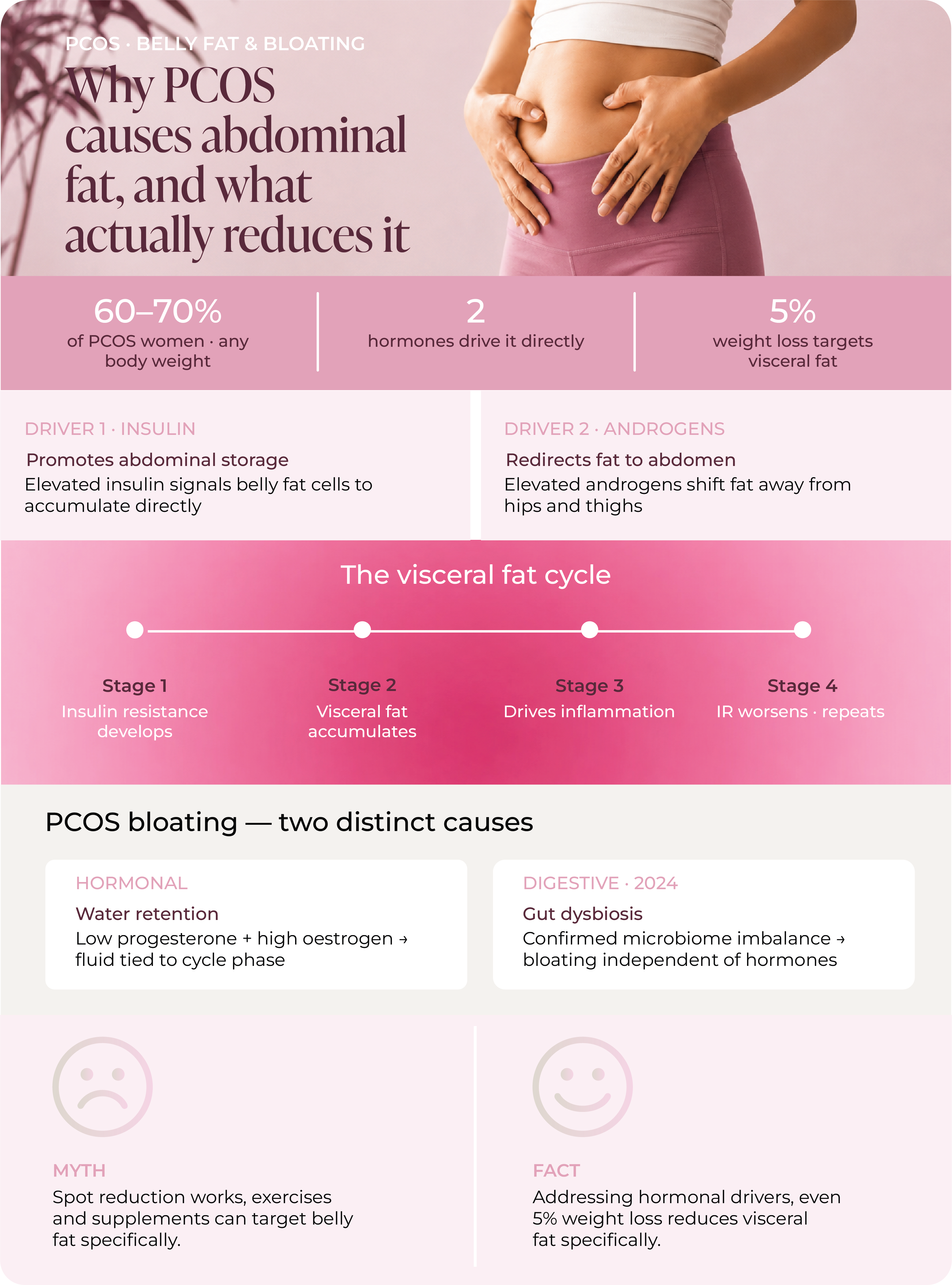 Infographic titled Why PCOS Causes Abdominal Fat and What Actually Reduces It. Top stats: 60 to 70 percent of women with PCOS carry abdominal fat regardless of body weight; two hormones drive it directly; only 5 percent weight loss is needed to reduce visceral fat. Two drivers are shown side by side: Driver 1, insulin, promotes abdominal fat storage because elevated insulin signals belly fat cells to accumulate fat directly; Driver 2, androgens, redirect fat to the abdomen because elevated androgens shift fat away from the hips and thighs. A four stage visceral fat cycle follows: Stage 1, insulin resistance develops; Stage 2, visceral fat accumulates; Stage 3, visceral fat drives inflammation; Stage 4, insulin resistance worsens and the cycle repeats. A bloating section shows two distinct causes: a hormonal cause from water retention, where low progesterone and high oestrogen tie fluid retention to cycle phase; and a digestive cause from gut dysbiosis, referencing a 2024 finding of confirmed microbiome imbalance causing bloating independent of hormones. A closing myth and fact panel states the myth that spot reduction, exercises or supplements can target belly fat specifically, against the fact that addressing the underlying hormonal drivers, even with as little as 5 percent weight loss, reduces visceral fat specifically.
