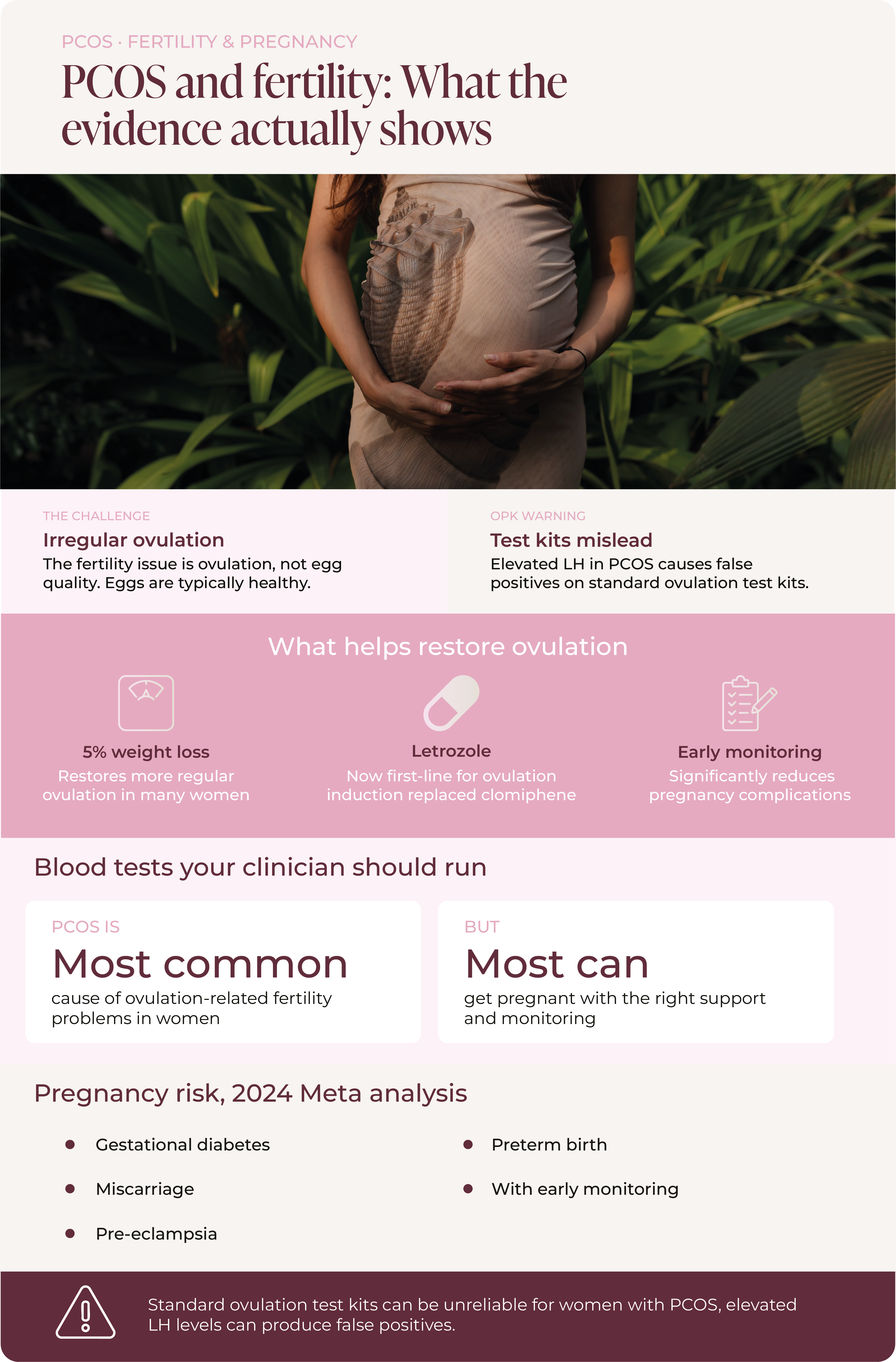 Infographic titled PCOS and Fertility, What the Evidence Actually Shows, with a photo of a pregnant woman holding her bump in a garden setting. Key points: the fertility challenge in PCOS is irregular ovulation rather than egg quality, since eggs are typically healthy; standard ovulation test kits can mislead because elevated LH in PCOS causes false positives. A section on what helps restore ovulation lists 5 percent weight loss, which restores more regular ovulation in many women; Letrozole, now first-line for ovulation induction, replacing clomiphene; and early monitoring, which significantly reduces pregnancy complications. Two callout cards state that PCOS is the most common cause of ovulation-related fertility problems in women, but that most women can get pregnant with the right support and monitoring. A pregnancy risk section citing a 2024 meta-analysis lists gestational diabetes, miscarriage, pre-eclampsia and preterm birth. A closing warning notes that standard ovulation test kits can be unreliable for women with PCOS due to false positives from elevated LH levels.