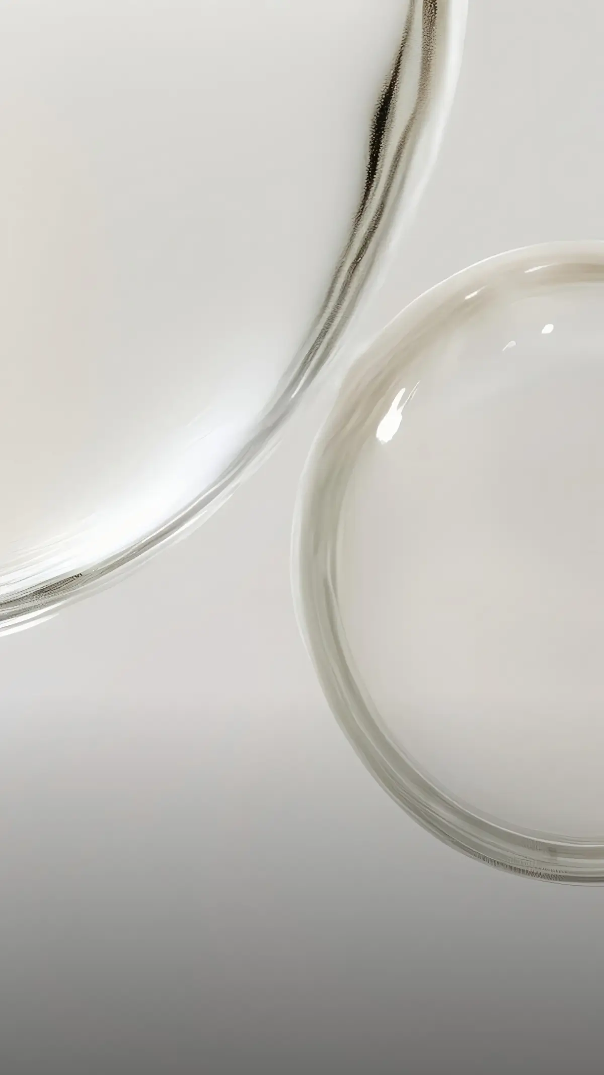 Close-up of two clear glass petri dishes on a white surface.