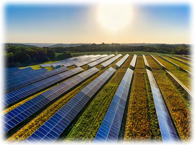 Aerial view of rows of solar panels installed on green grass under a bright sun with a clear sky.