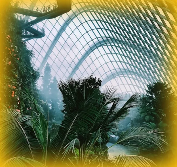 Indoor lush garden with tall green plants under a curved glass and steel greenhouse roof.