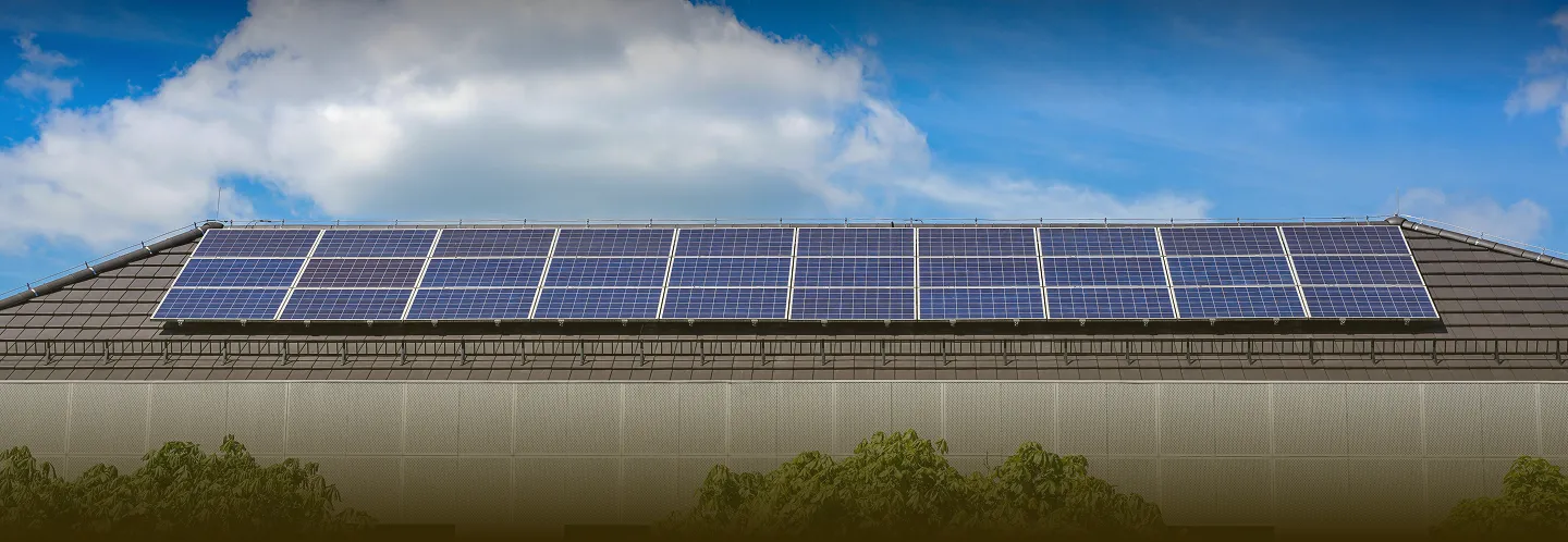 Row of solar panels installed on a sloped gray tiled roof under a partly cloudy blue sky.