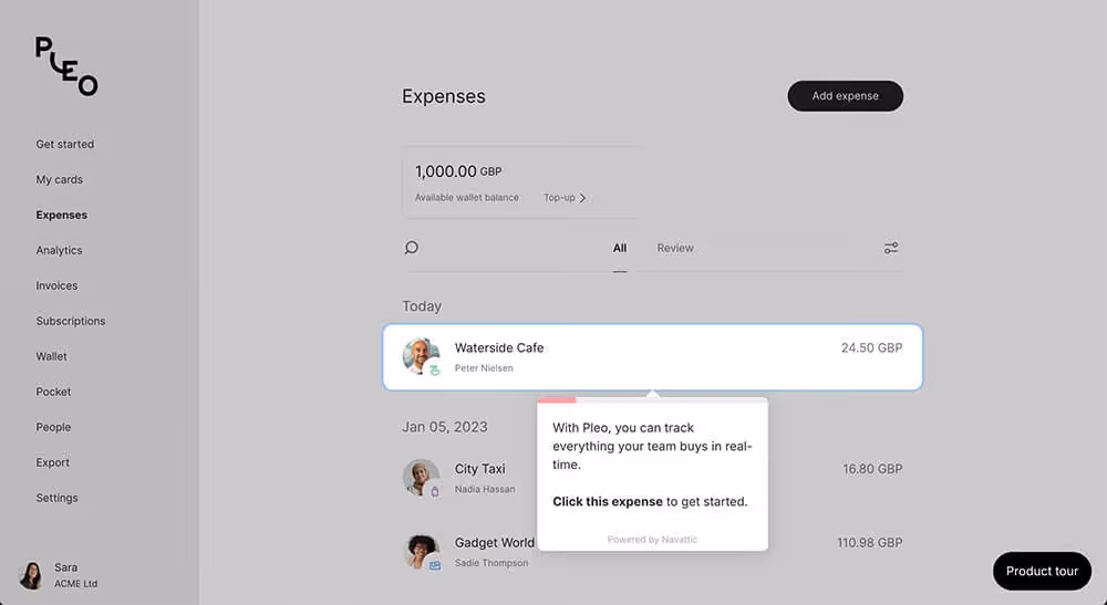 A screenshot of the interactive demo