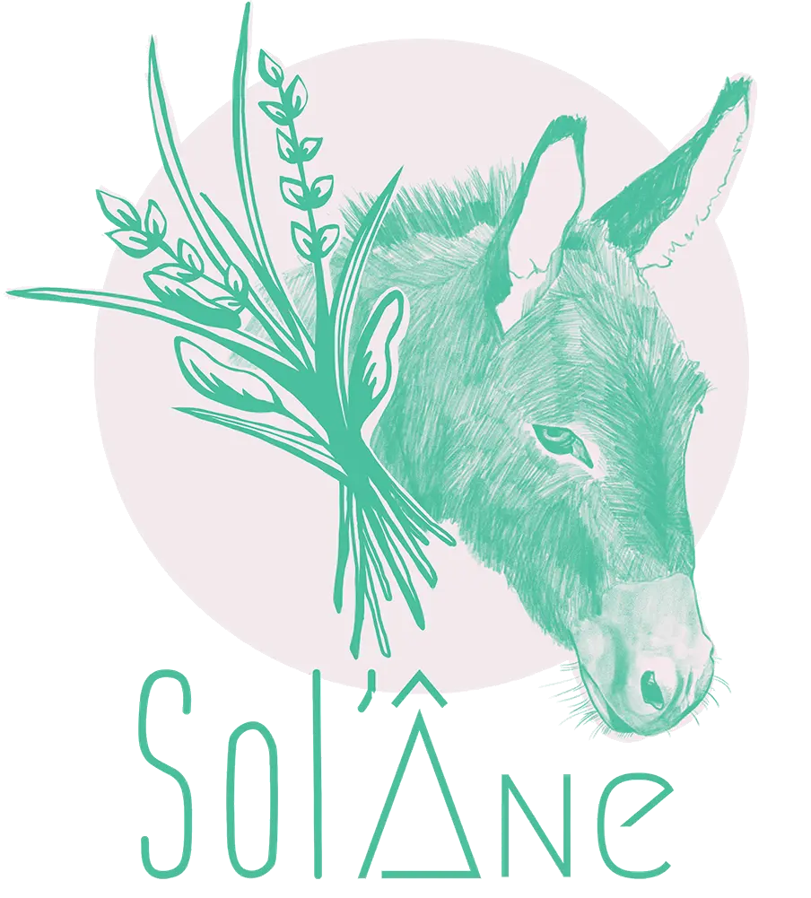 Logo Sol'Âne une tête d'âne illustrée