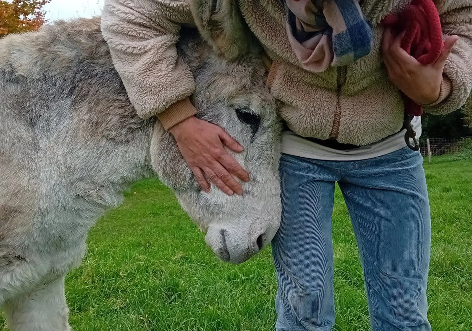 Support for private donkey driver