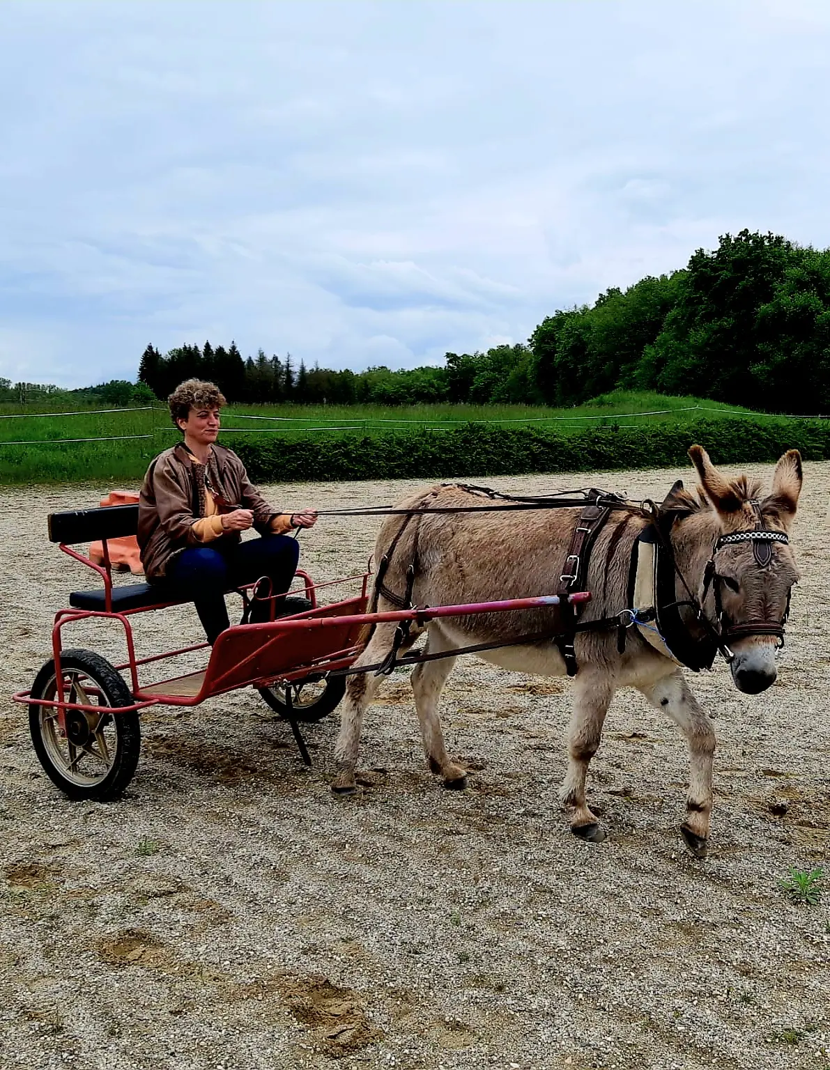 Solène en charette tirée par un âne brun