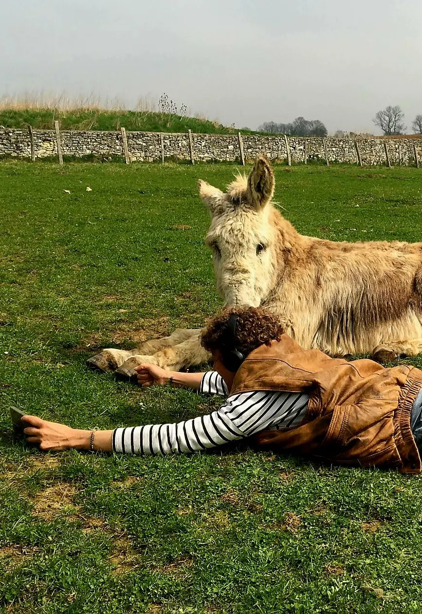 Solène allongée près d'un âne blanc