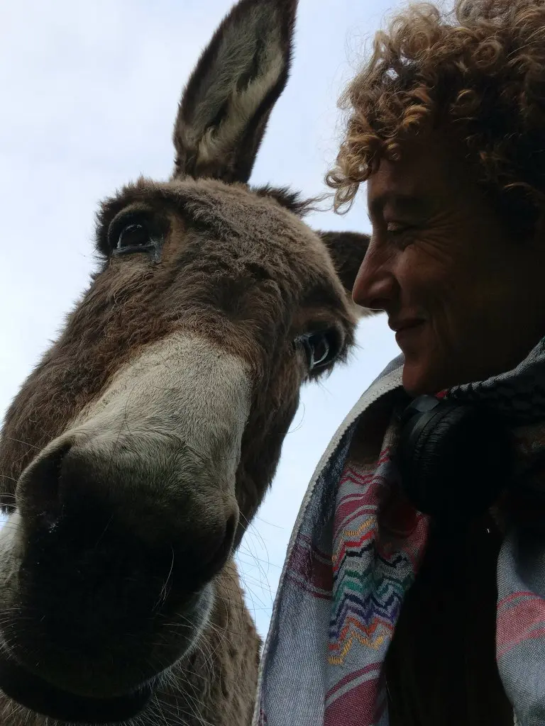Solène en écharpe se tient à côté d'un âne brun