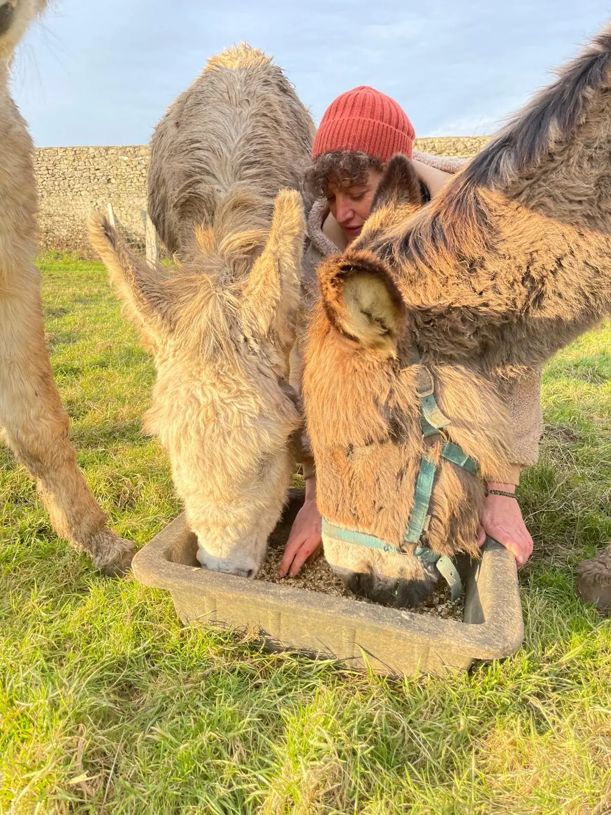 Support for Beginners