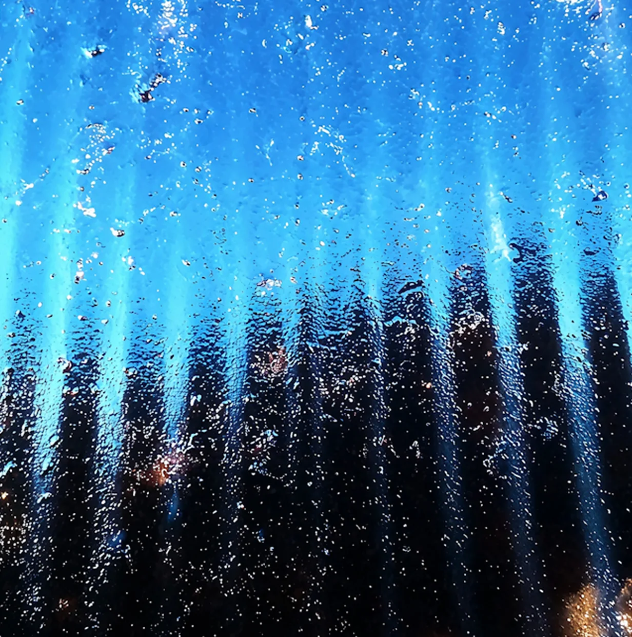 Blog card portrait image