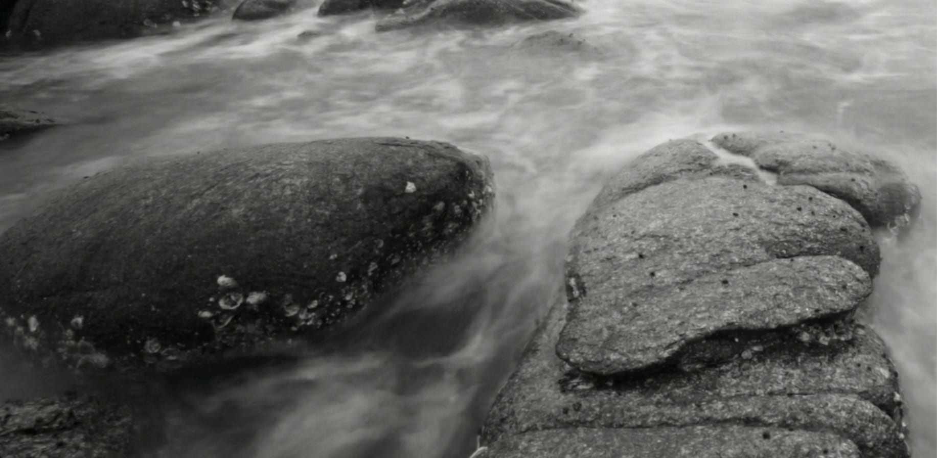 Portfolio card image