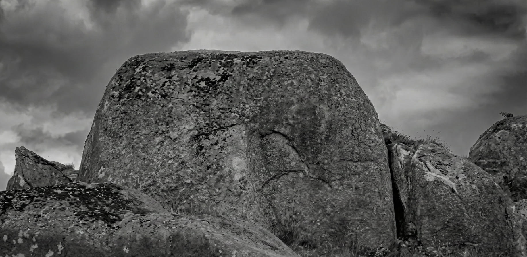 Portfolio card image