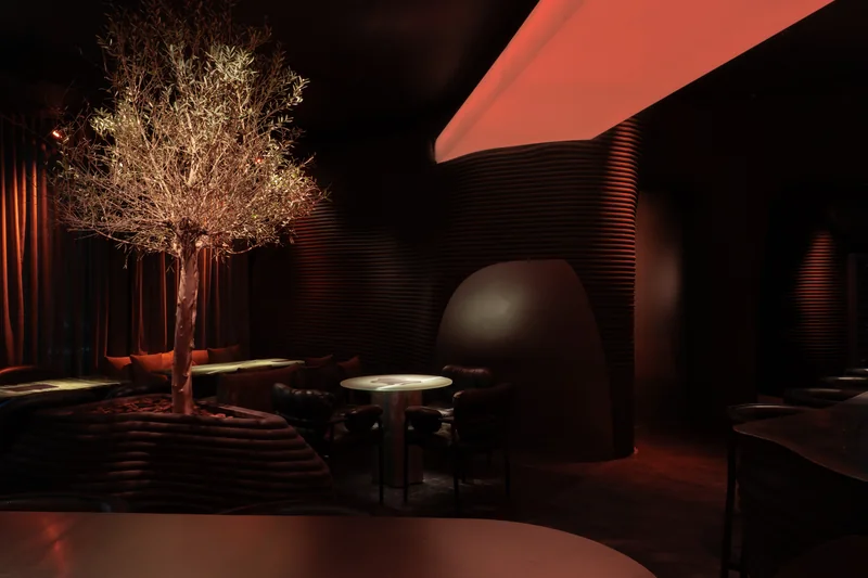 Canyon-inspired lounge with red lighting, curved seating and an olive tree