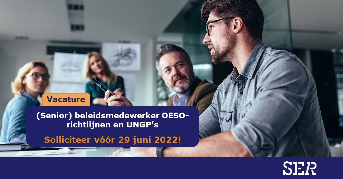 Vier collega's bespreken documenten rond een vergadertafel in een modern kantoor van de Sociaal-Economische Raad.