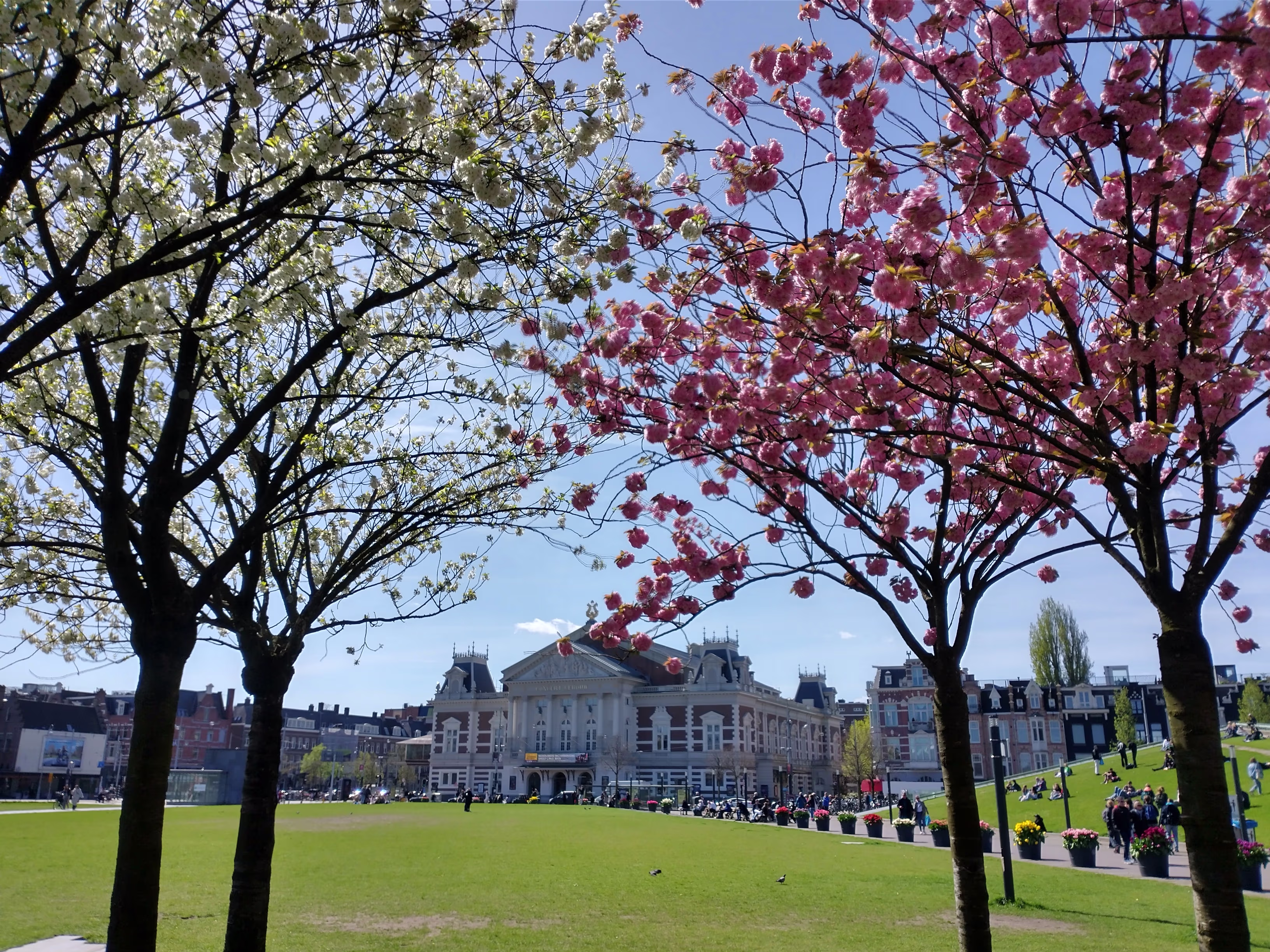 Het Concertgebouw met voorplein en bloeiende bomen in de lente, bezoekers wandelen over het gras.