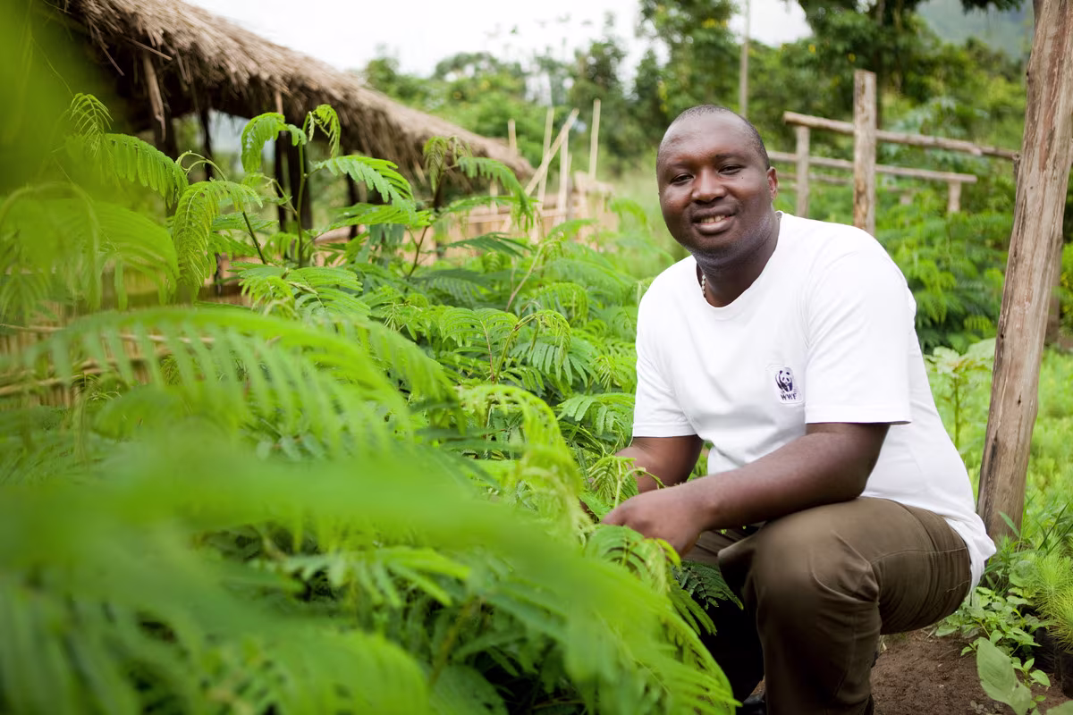 Man in wit WWF-shirt knielt glimlachend tussen groene planten in tropische omgeving met houten hut op achtergrond.