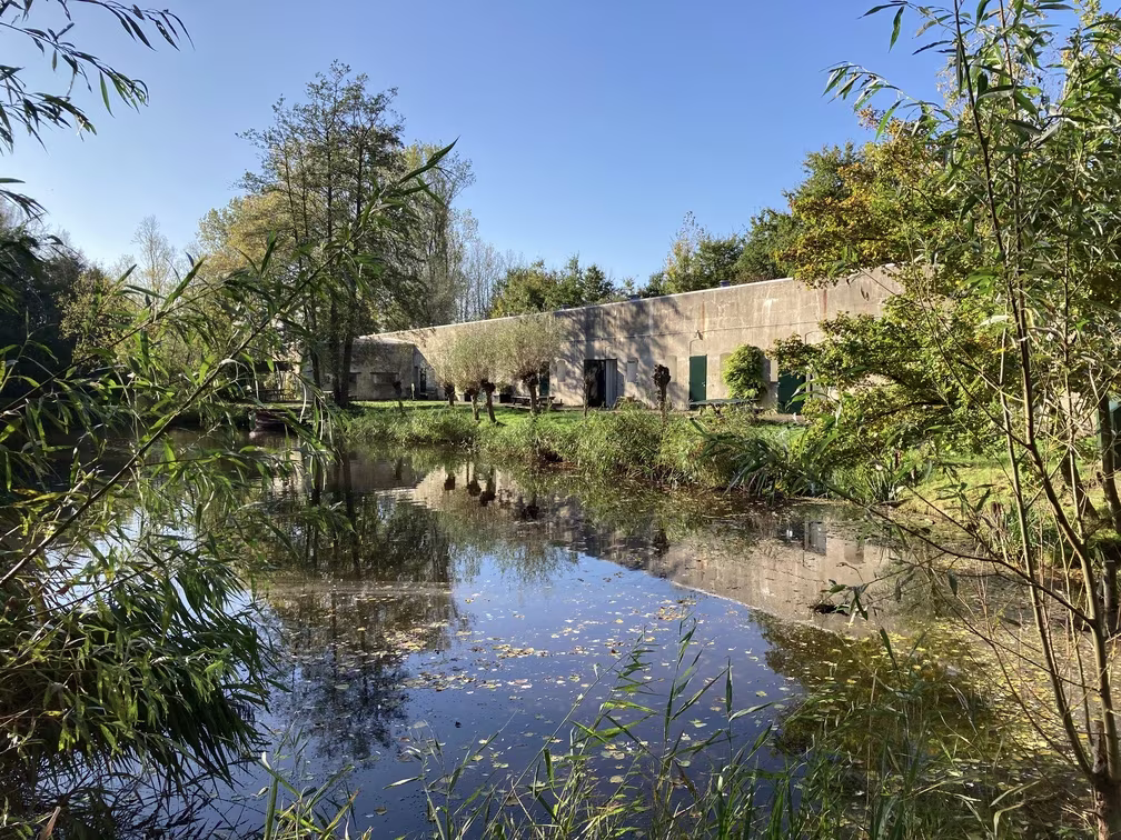 Modern betonnen gebouw met groene luiken weerspiegelt in vijver, omringd door weelderige vegetatie en bomen onder blauwe hemel.