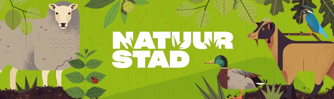 Kleurrijke illustratie met dieren zoals schaap, eend en geit tussen groene bladeren met het logo "NATUUR STAD" in het midden.