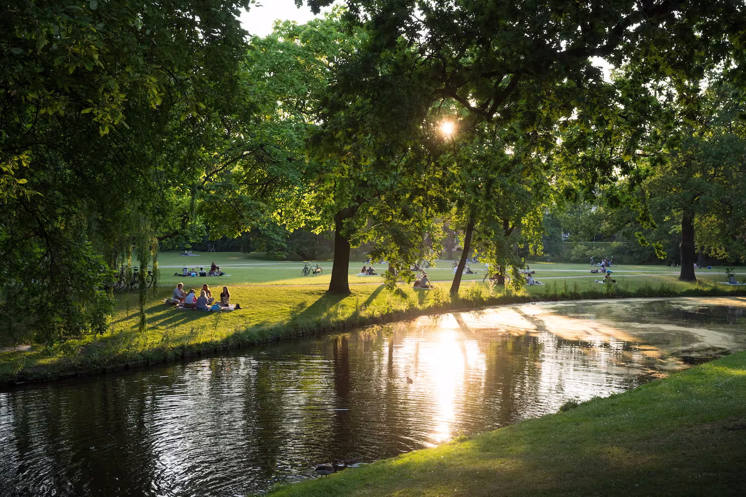 Een zonnige avond in een park met grote bomen rond een vijver, waar mensen ontspannen op het gras zitten.