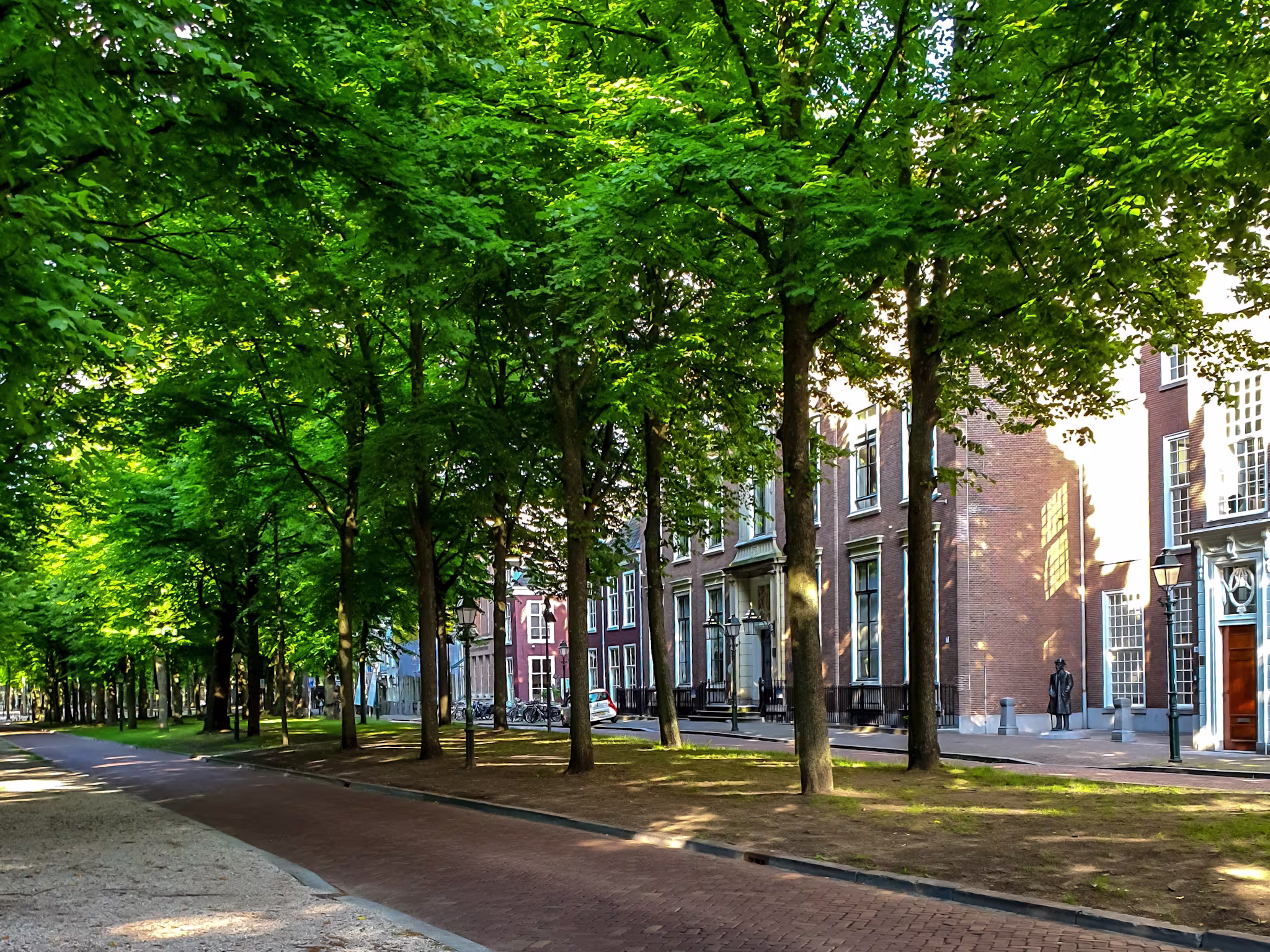 Een lommerrijke straat met historische herenhuizen en bomen die schaduw werpen op de stoep en weg.