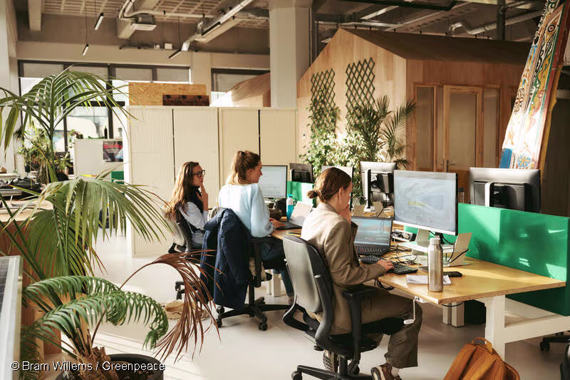 Drie vrouwen werken aan computers in een modern kantoor met veel planten en groene accenten.