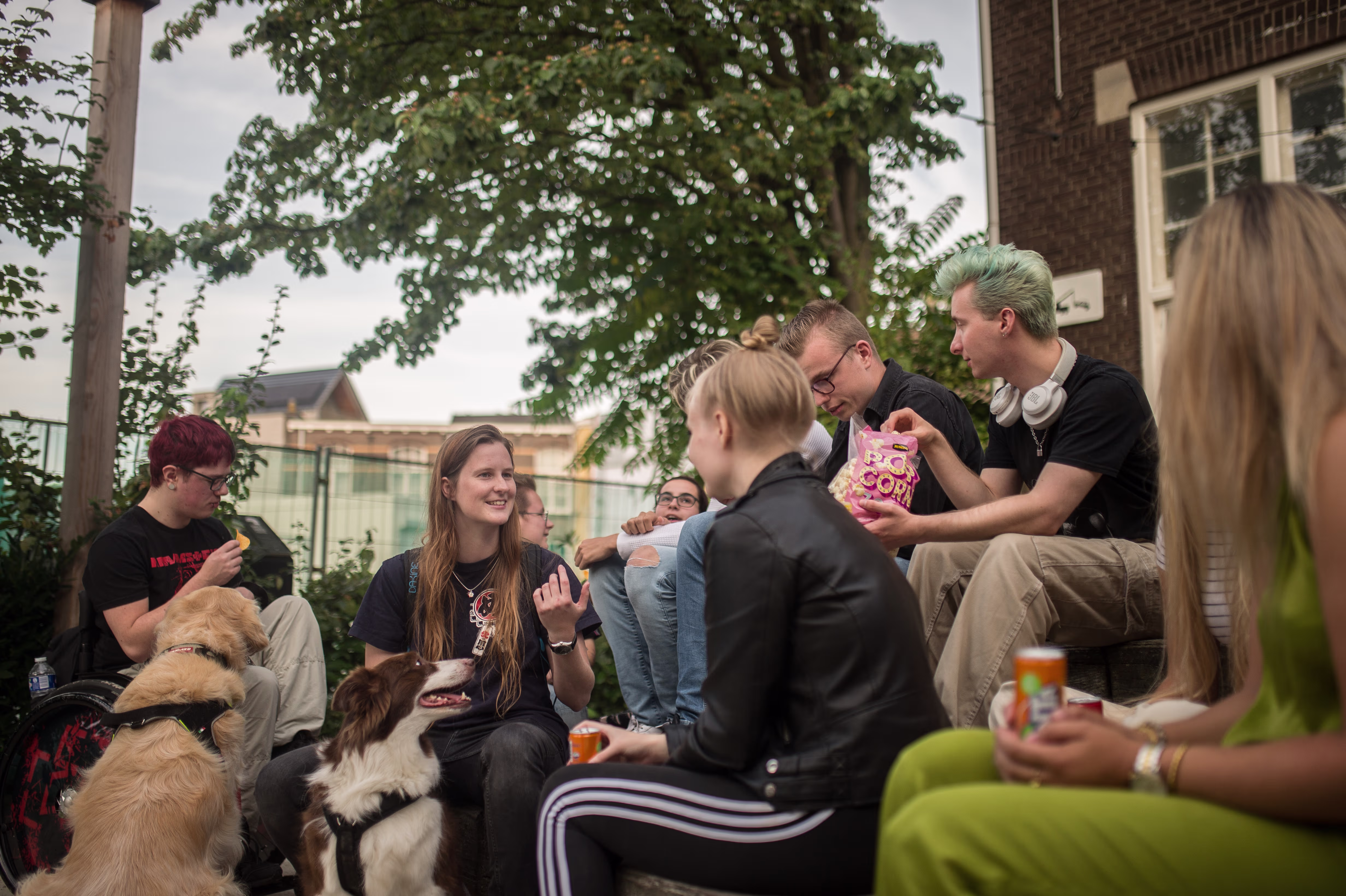 Groep jonge medewerkers zit buiten samen op stoepje met honden, etend en drinkend in ontspannen sfeer.