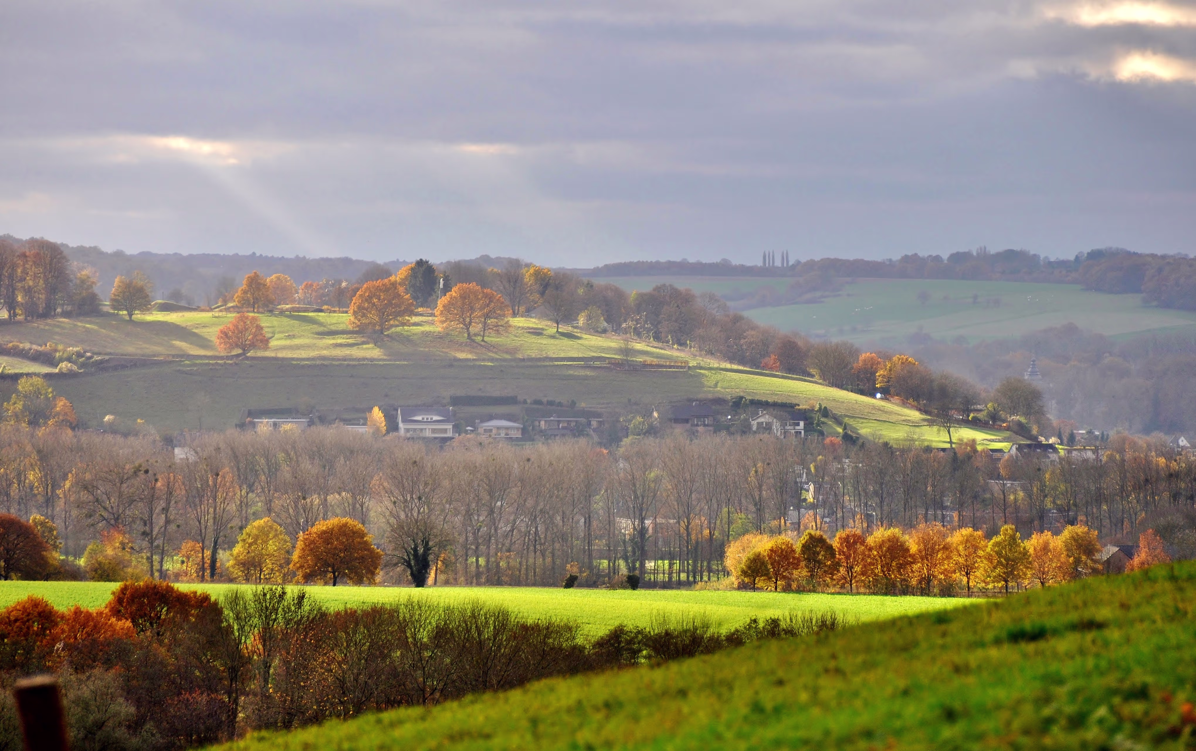 Heuvelachtig landschap met groene velden, bomen in herfstkleuren en verspreide gebouwen onder een bewolkte hemel.