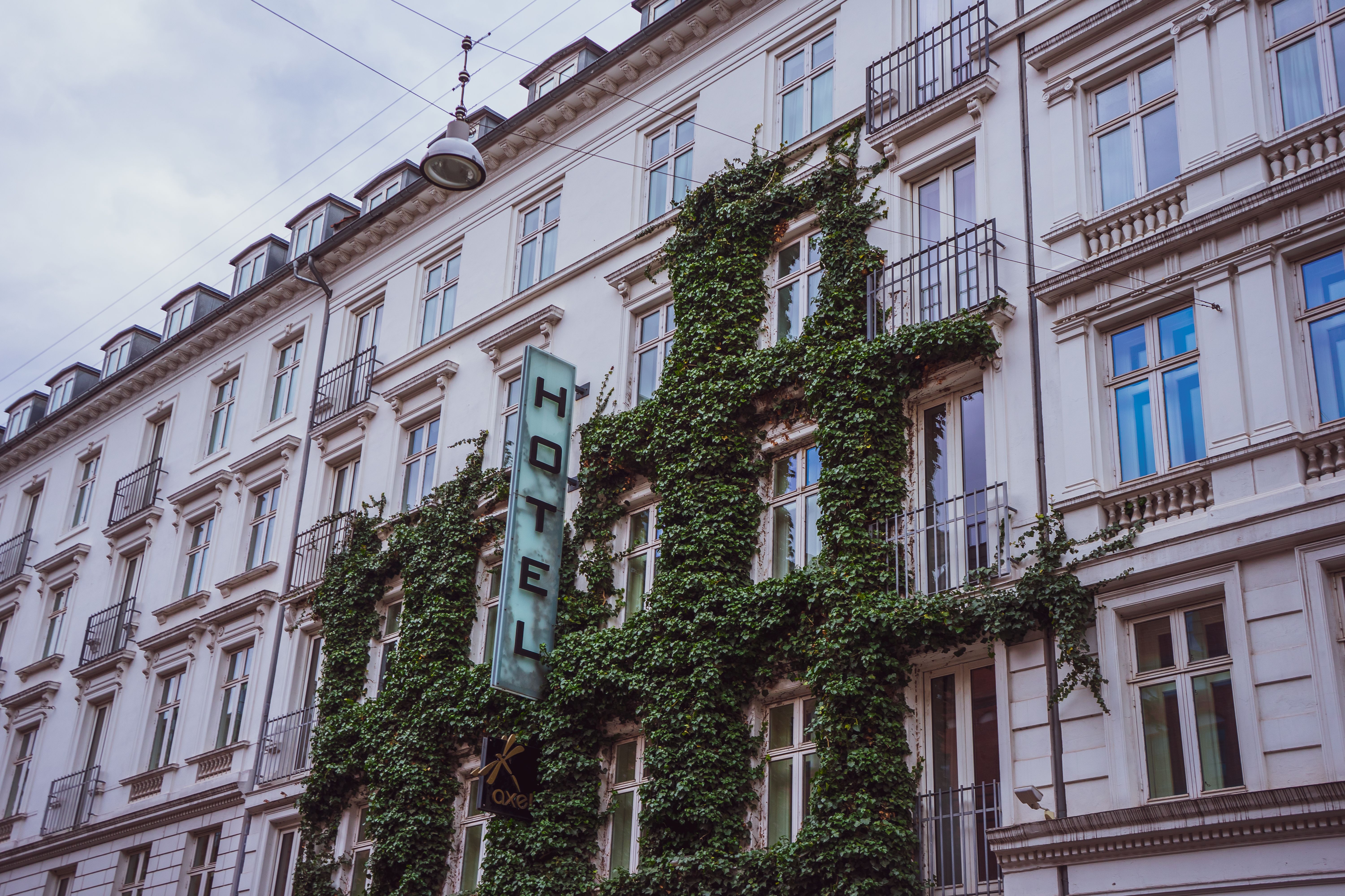 ow-angle view of a European hotel building facade covered in green ivy with a vertical hotel sign mounted on the front
