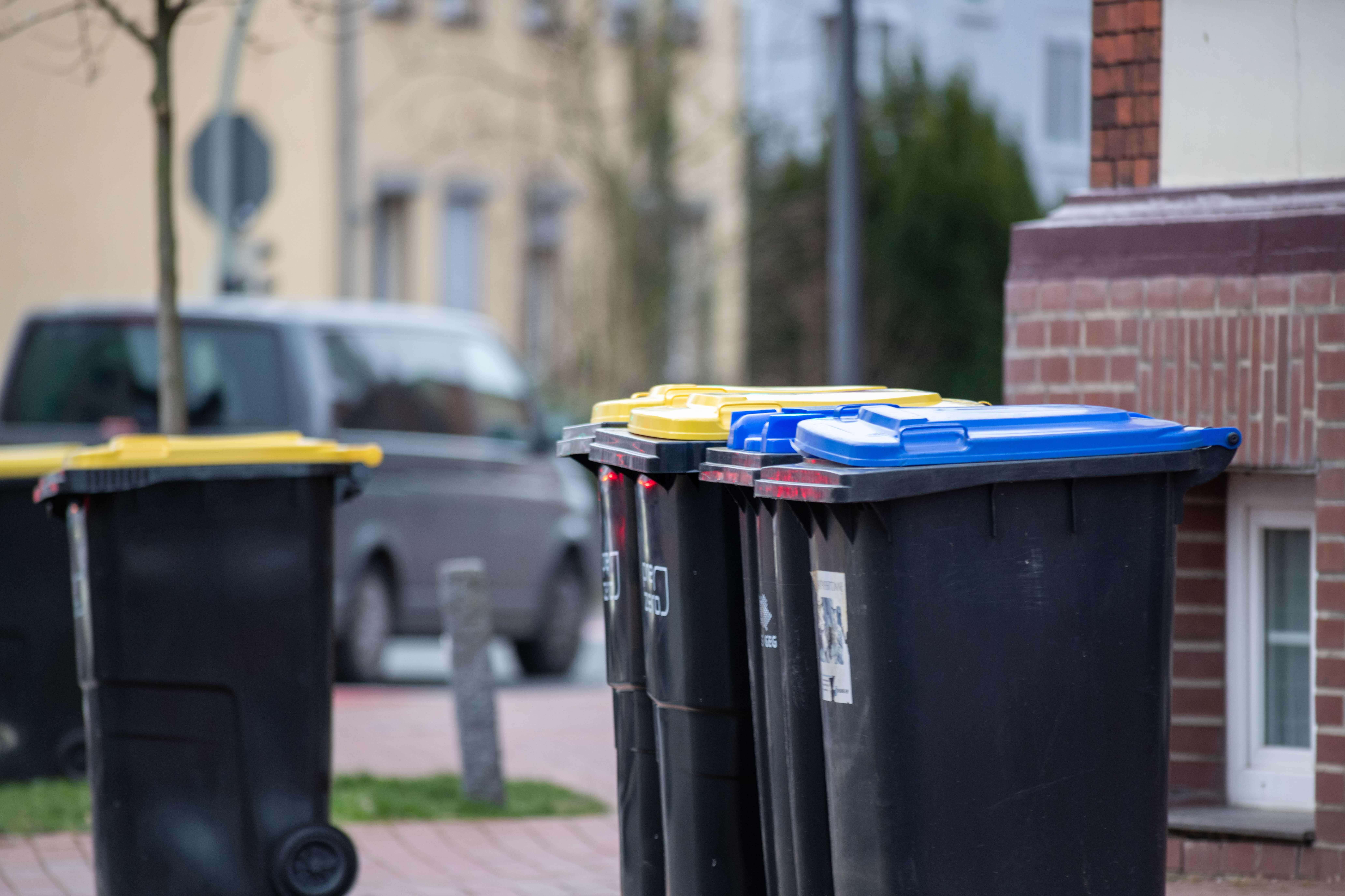 A row of black wheelie bins with yellow and blue lids lined up on a city sidewalk next to a brick building.