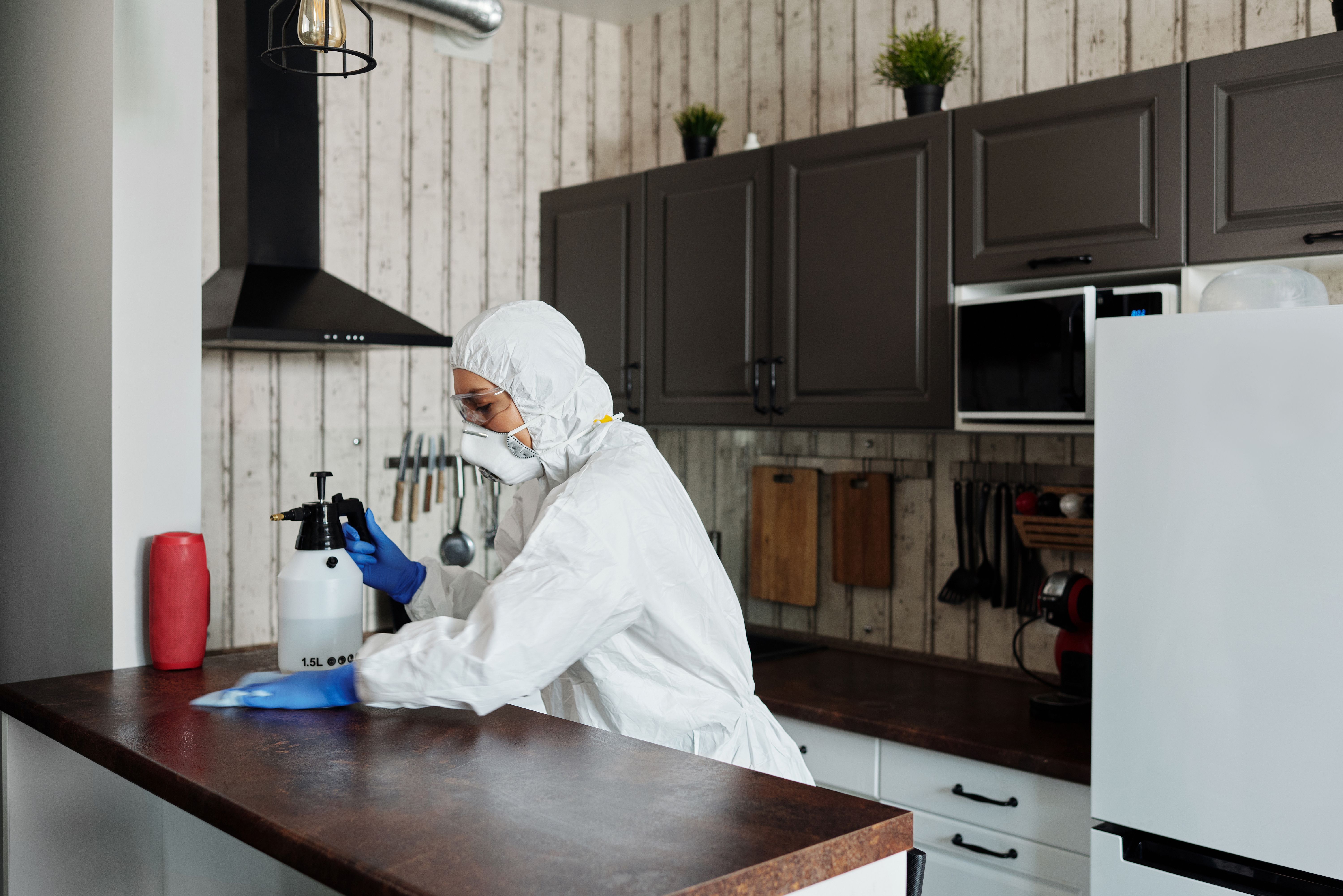 A professional exterminator wearing a white hazmat suit, mask, and blue gloves wiping down a dark kitchen countertop next to a spray container.