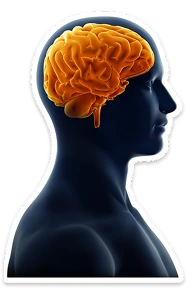 Icône d'humain en 3D