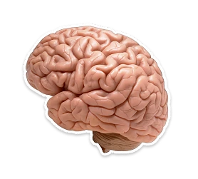 Icône de cerveau