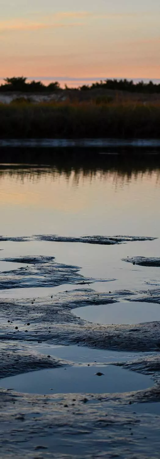 Carolina Beach State Park