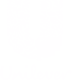 Unilever logo — Silver Hare Creative client