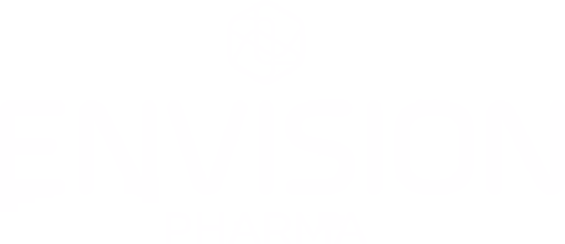 Envision Africa logo — Silver Hare Creative client