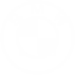 BMW logo — Silver Hare Creative client