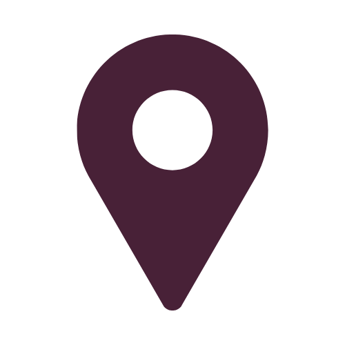 google pin icon