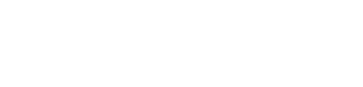 Essent logo