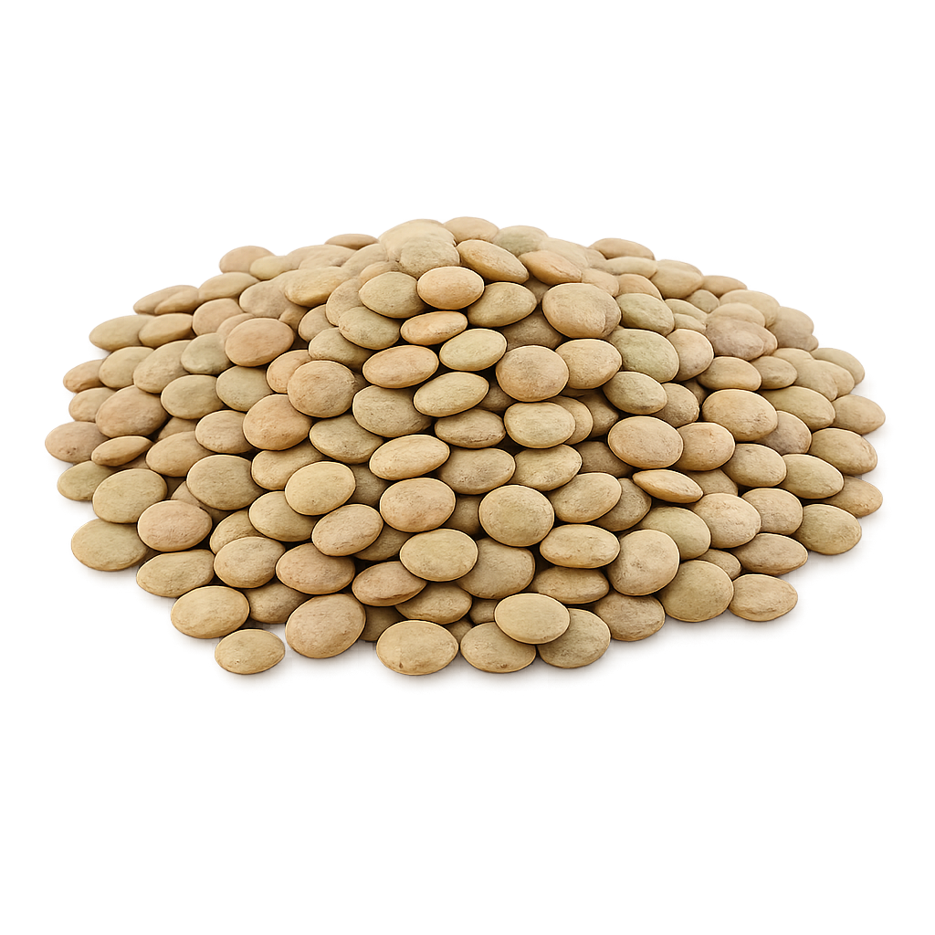 recetas con lentejas