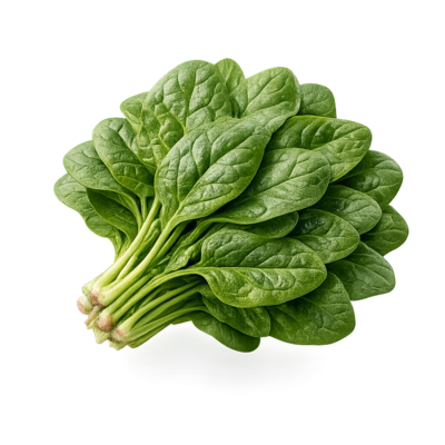 recetas con espinaca