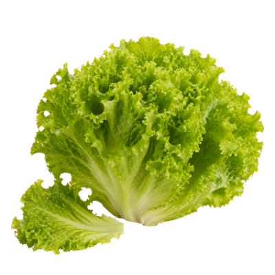 Recetas con lechuga