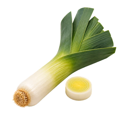 Recetas con puerro