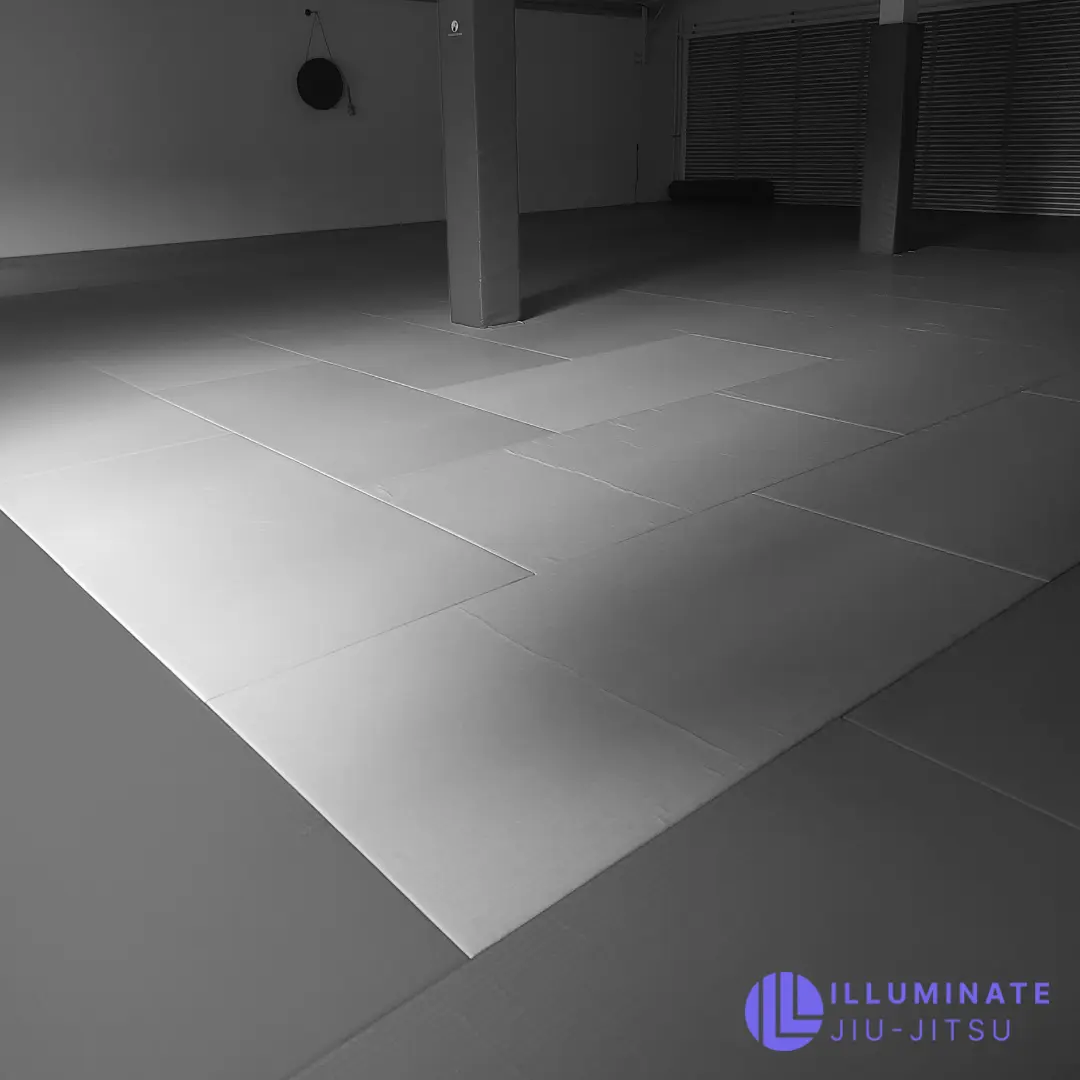 Matspace of BJJ Gym in Regensburg
