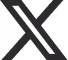 x logo
