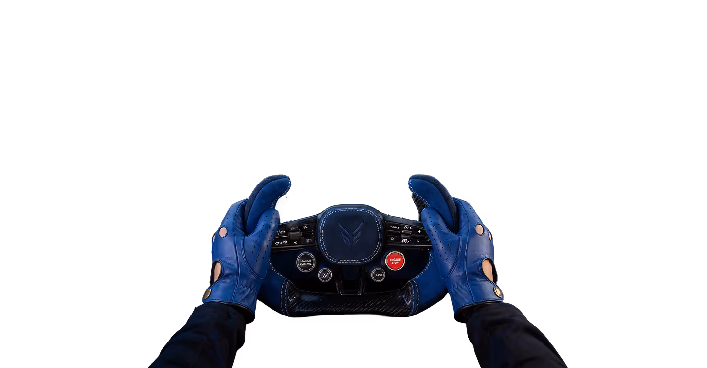 Person wearing black gloves holding a black racing steering wheel with a wing-like logo in the center.