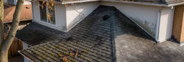 Section of a residential roof with gray shingles covered in patches of moss and debris.