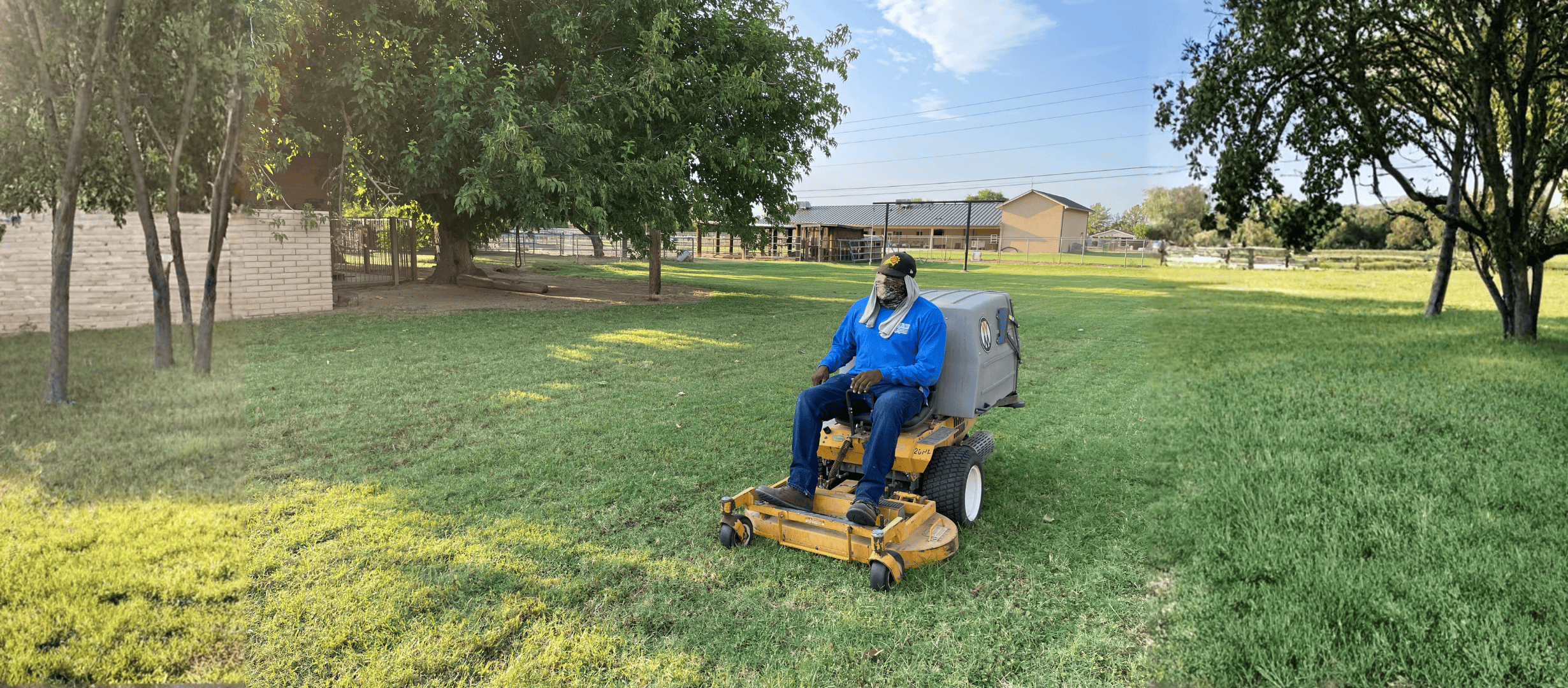 Maintenance Tips for a Thriving and Sustainable Backyard Landscape