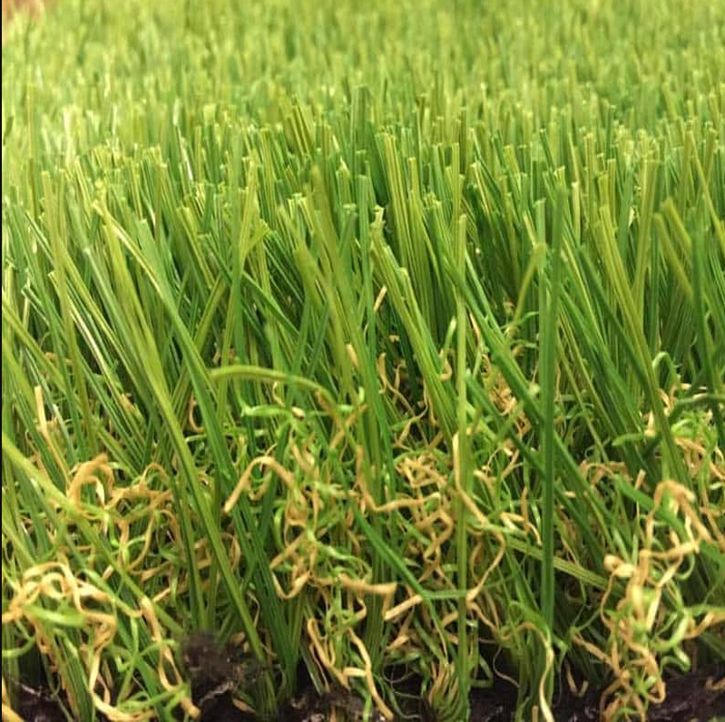 80oz Fescue
