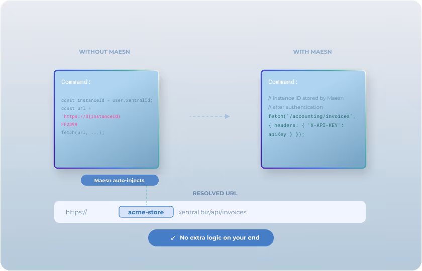 Xentral instance ID handled automatically by Maesn